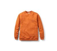 Passenger Men's Escapism Recycled Cotton Sweatshirt (UK, Alpha, S, Regular, Regular, Sunset Orange)