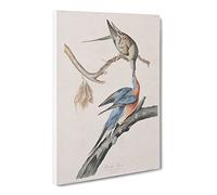 Passenger Pigeons By John James Audubon Canvas Print | Gallery Wrapped 30mm Frame Wall Art | 24x16 inches | Ready to Hang | Retro Picture | Living Room Bedroom Lounge Office