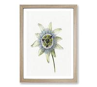 Passion Flower by Jean Bernard Framed Print | A2 Oak Framed Wall Art | Ready to Hang | Modern Floral Picture | Living Room Bedroom Lounge Office