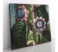 Passion Flower by Robert John Thornton Vintage Canvas Wall Art Print Ready to Hang, Framed Picture for Living Room Bedroom Home Office Décor, 50x50 cm (20x20 Inch)