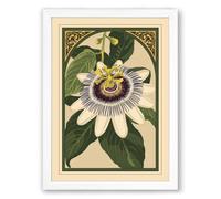 Passion Flower Study Botanical Framed Wall Art Print A2 (59.4×42cm) White, Wall Decor for Living Room, Bedroom, Office & Home, Ready to Hang, Art Gift