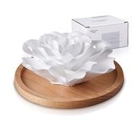 Passive Essential Oil Diffuser,Aromatherapy Passive Mini Ceramic Essential Oil Small Diffuser for Desk Office Home Gift (Roses)