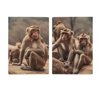 Passport Holder Leather Passport Holder Covers Case Monkey Sitting on Stone Printed Passport Book for Documents, Travel Gifts, Monkey Sitting on Stone, 20.3x13.8cm