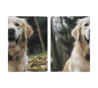 Passport Holder Leather Passport Holder Covers Case Native American Dream Catcher Printed Passport Book for Documents, Travel Gifts, Funny Golden Retriever, 20.3x13.8cm