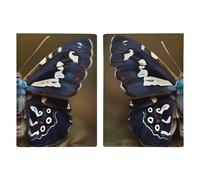 Passport Holder Passport Book Leather Passport Cover Card Holder Beautiful Eiffel Tower Paris Travel Wallet for On Business Trip, Travel Gifts, Beautiful moth wings, 20.3x13.8cm