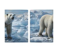 Passport Holder Travel Wallet Passport Cover Planet Jupiter Printed Leather Passport Holder Covers Case for Travel, Documents, Travel Gifts, Polar Bear Ice, 20.3x13.8cm