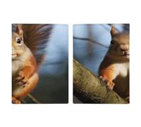 Passport Protective Cover, Squirrel Funny Animal Print Passport Cover Passport Case Stylish Passport Cover Multifunctional Passport Holder, style, 20.3x13.8cm