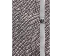 Password Book | Silver Snake Pattern Cover with Keyhole | 6x9" | 120 Pages: Rustic & Sleek Password Organizer with Website, Username, Password & Note Sections