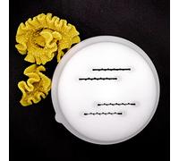 PASTADISC Mafalde Pasta Shape Discs Fit For Philips Automatic Pasta & Noodle Maker, Philips Pasta Maker Attachments, Kitchen Appliances, Accessory Kit (Mafalde)