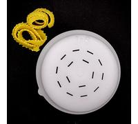 PASTADISC - Pasta Shape Discs Fit For Philips Automatic Pasta & Noodle Maker, Philips Pasta Maker Attachments, Kitchen Appliances, Accessory Kit (Fettuccina 6x1mm)