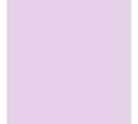 Pastel Coloured Paper / White Copier A4 80gsm Clairefontaine Trophee Adagio 2800