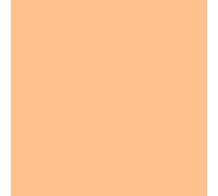 Pastel Coloured Paper / White Copier A5 80gsm Clairefontaine Trophee Adagio 2800