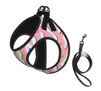 Pastel Kawaii Abstract Colorful Splatter No Pull Dog Harness and Leash Set, Cute Reflective Adjustable Vest for Small Dogs,Breathable Mesh Puppy Harness for Walking Hiking,Medium