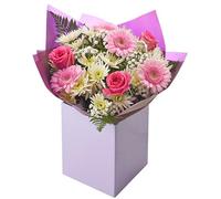 Pastel Pink and White Arrangement Fresh Flowers, Seasonal Blooms with Roses, Gerbera, Gypsophila, Chrysanthemum - Floral Design for Birthdays, Anniversaries, Festive Gifting