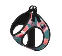 Pastel Poppies Print Step in Dog Harness and Leash Set,Adjustable Reflective Harness for Small Dogs Cats