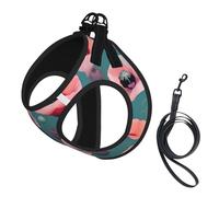 Pastel Poppies Print Step in Dog Harness and Leash Set,Adjustable Reflective Harness for Small Dogs Cats