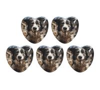 Pastor Border Collie Car Air Freshener Hanging Incense Chips 5 Pack Automotive Scented Hanging Sheets for Car Home Auto Interior Decor Love Form,black-style