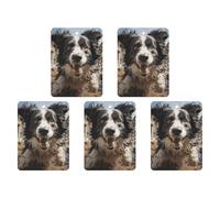 Pastor Border Collie Car Air Freshener Hanging Incense Chips 5 Pack Automotive Scented Hanging Sheets for Car Home Auto Interior Decor Square,white-style