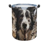 Pastor Border Collie Laundry Basket with Handles, Large Capacity Water Proof Laundry Hamper, Lightweight & Foldable Storage Basket for Home, Bedroom, Dorm, 44x44cm
