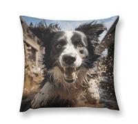 Pastor Border Collie Soft Plush Throw Pillow Cover Modern Decorative Pillow Case Farmhouse Cushion Cover with Hidden Zipper for Couch Sofa Bed Outdoor Home Decor 12 "x12