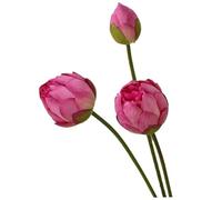 Pastoralist Artificial Lotus Flower, 3pcs 80cm Faux Lotus Flower Buds with Long Stem, Fake Water Lily Blossom Branch for Home Office Decorations
