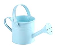 Pastoralist Small Watering Can, 2.8x4.7" Kids Watering Can with Handle, Rustproof Galvanized Iron, Light Blue