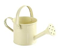 Pastoralist Small Watering Can, 4.7inch Metal Mini Kids Watering Can, Tiny Watering Can Flower Pot, Small Indoor Watering Can, Flower Watering Kettle for Kids(Beige)
