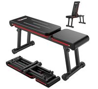 PASYOU Adjustable Flat Weight Bench, 2 in 1 Workout Bench with 660 lb Load Capacity, 6-Level Foldable Bench Press for Home Gym, Fully Assembled Dual-Frame (Model: PB300)
