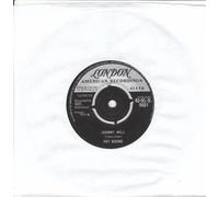 PAT BOONE - give us back our cheap fares / he was really sayin' somethin' 45 rpm single