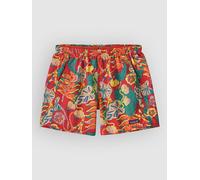 Patagonia Baggies - 5 In. Shorts hot ember M