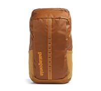 Patagonia Black Hole 25 | Backpack | yellow