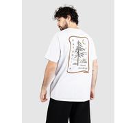 Patagonia Clean Climb Roots Responsibili T-Shirt white XL