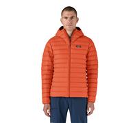 Patagonia Down Sweater Hooded Jacket - SS25