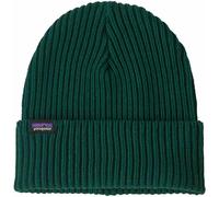 Patagonia Fisherman's Rolled Beanie (Cascade Green)