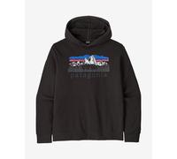 Patagonia Fitz Roy Foothills Daily Hoodie black XL