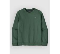 Patagonia Fitz Roy Massif Daily Crew Sweater canopy green S
