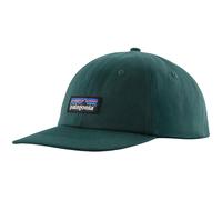 Patagonia P-6 Label Trad Cap (Cascade Green)