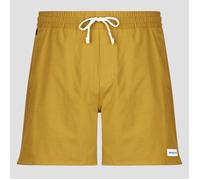 Patagonia Shorts M'S HOME WATERS VOLLEY SHORTS - 16 IN. in Yellow EU S