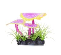 Patapalooza Aquatic plants Fluorescent: Resistant, Vibrant Colours, Ideal for Aquariums and Decoration of Wet Spaces.
