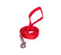 Patapalooza Multi-Coloured Nylon Straps, Set of 4, Strong and Versatile, Ideal for Fastening, Crafts and Outdoor Activities.