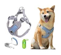 Patas Lague Dog Harness with Leash Set Adjustable Soft Padded Step-in Solid Dog Vest Harness No Choke No Pull Reflective for Medium Dogs with Poop Bags and Dispenser Blue L