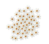 Patch Embroidered Floral Applique, Embroidered Patch Mini Daisies Flower Sew On Patches 1.5cm x Pack of 20 Or 50 Pcs(50pcs in one Pack)