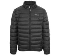 Patch Logo Thin Padded Black Jacket Plein Sport Black M