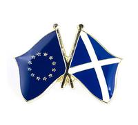 Patch Nation European Union EU Scotland Scottish Saltire Friendship Flag Metal Pin Badge