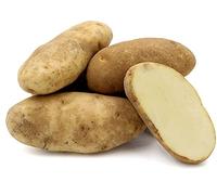 Patch Seed - 25Kg Certified Seed Potatoes Golden Wonder Irish-Grown Seed Maincrop Variety. Ideal for Planting & Gardens. Grow Your Own Potatoes