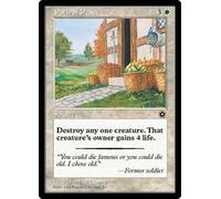 Path of Peace | Portal Second Age