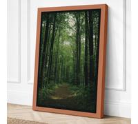 Path Through Cathedral Forest Canvas Wall Art Print 18x12 Inch