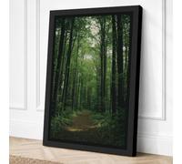 Path Through Cathedral Forest Canvas Wall Art Print 18x12 Inch