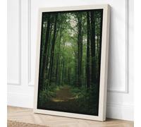 Path Through Cathedral Forest Canvas Wall Art Print 30x20 Inch (76 x 51 cm)