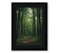 Path Through Cathedral Forest Scandinavian Framed Wall Art Print A1 (84.1×59.4cm) Black, Wall Decor for Living Room, Bedroom, Office & Home, Ready to Hang, Art Gift